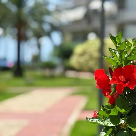 Domuum Holidays - Delfos Appartement